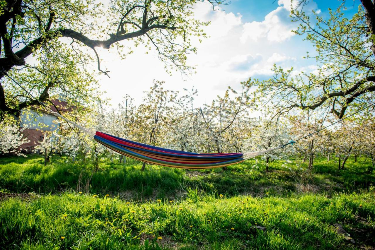 Deichkroenchen Ferienwohnung Altes Land Hamburg Jork Εξωτερικό φωτογραφία